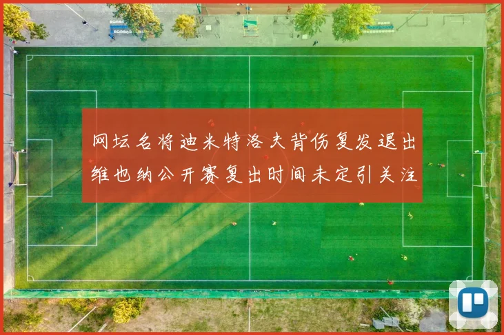 网坛名将迪米特洛夫背伤复发退出维也纳公开赛复出时间未定引关注