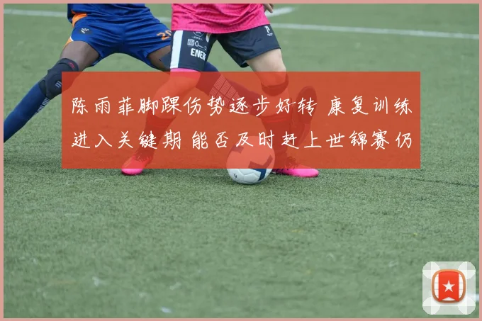 陈雨菲脚踝伤势逐步好转 康复训练进入关键期 能否及时赶上世锦赛仍存变数