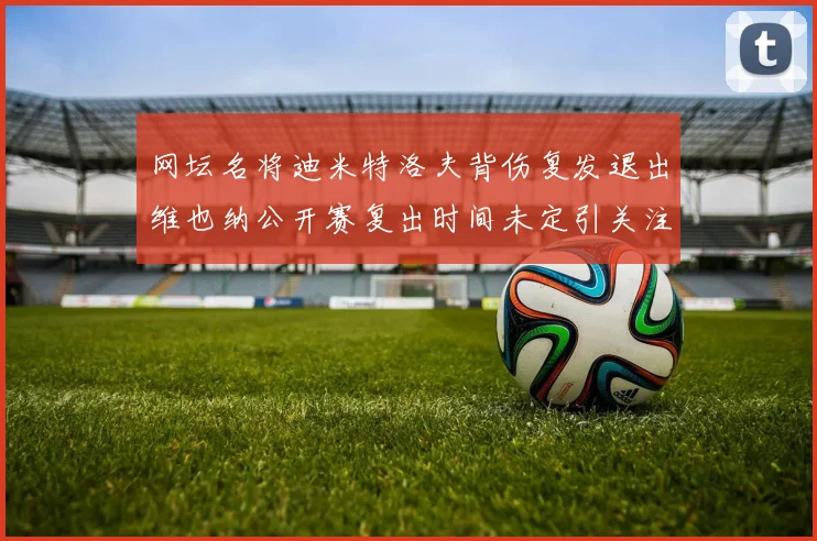 网坛名将迪米特洛夫背伤复发退出维也纳公开赛复出时间未定引关注
