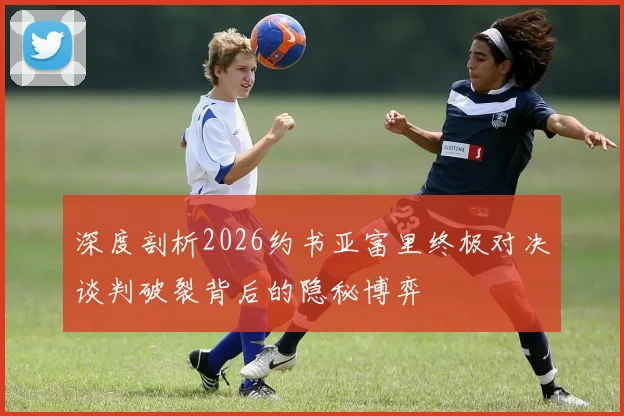 深度剖析2026约书亚富里终极对决谈判破裂背后的隐秘博弈
